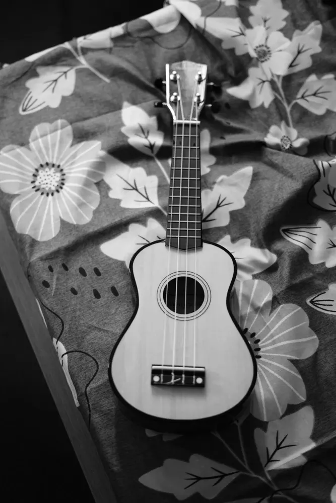 close-up of an ukulele, example pick of souvenirs Honolulu