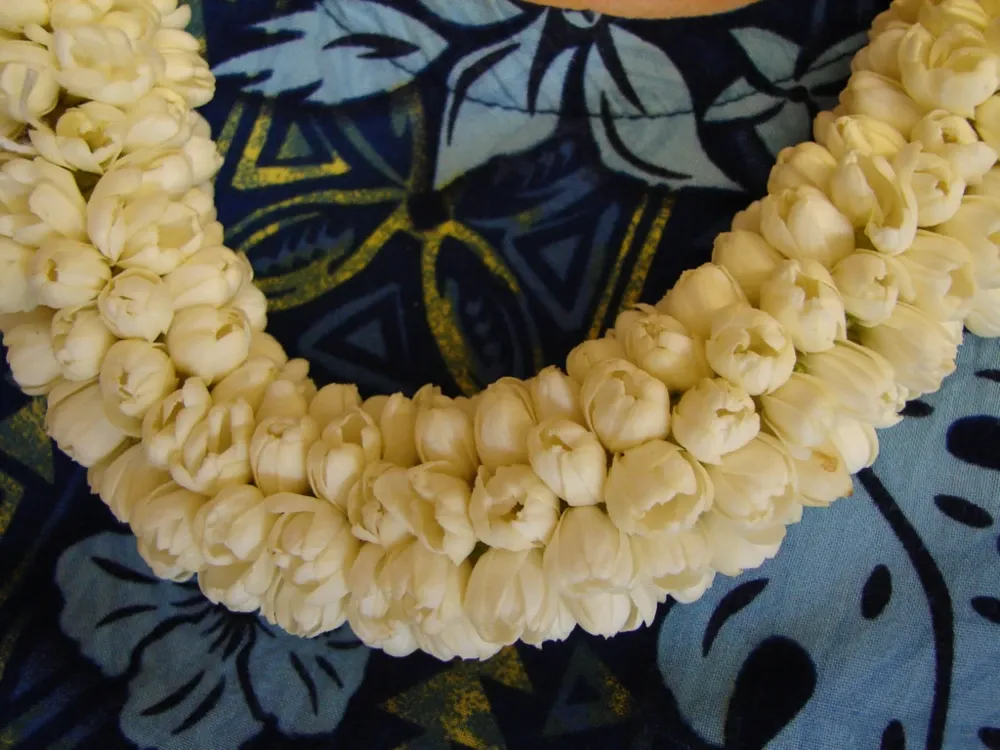 fresh flower lei from Hawaii a classic souvenir from Honolulu